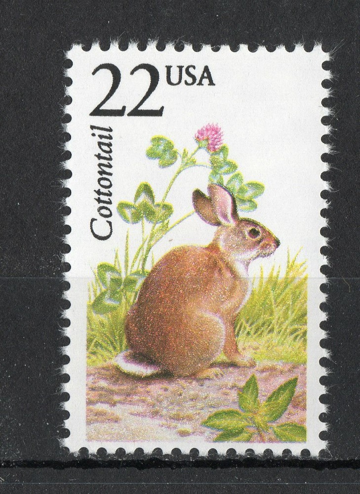 2290 * COTTONTAIL *  U.S. Postage Stamp MNH *