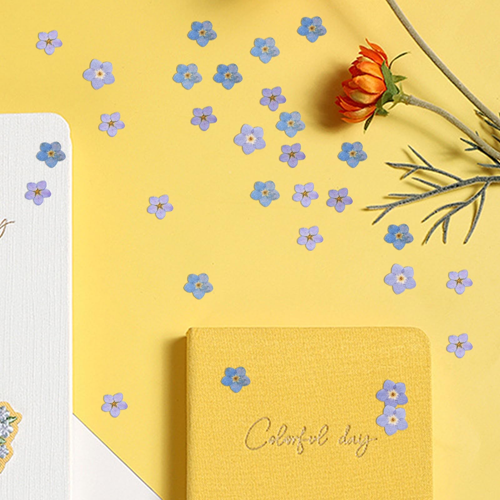 60Pcs Natural Forget Me Not Dried Flowers Real Dried Pressed Flowers Blue Don...