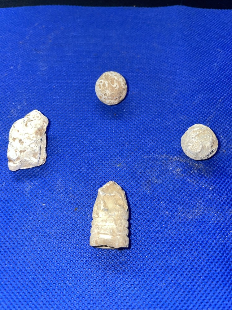 dug civil war relics
