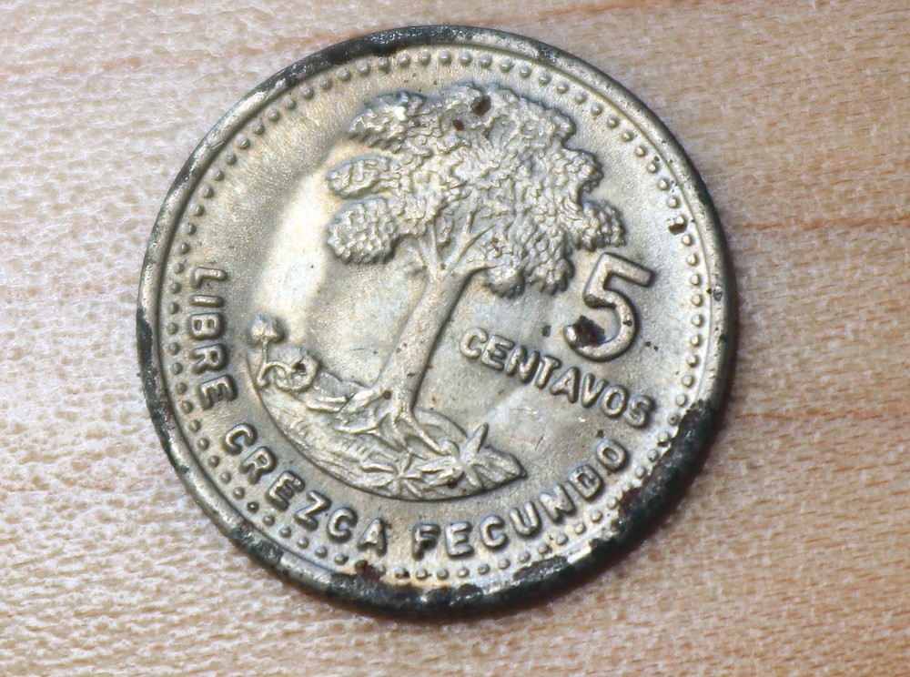 1991 Guatemala 5 Centavos Kapok Tree