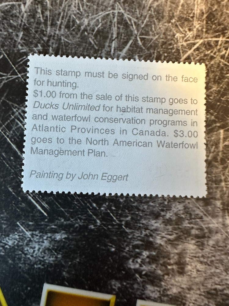 1997 Massachusetts State Duck Stamp,