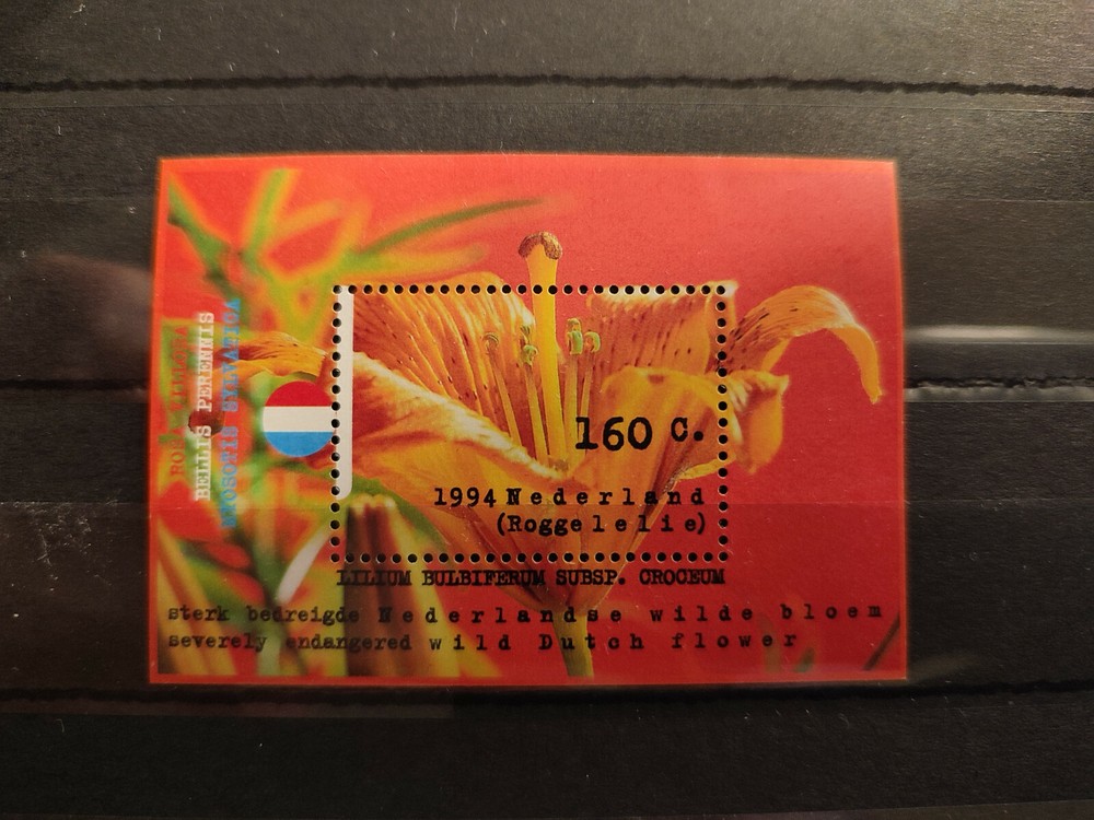 I30/ Netherlands - 1994 - Endangered Flower Sheet