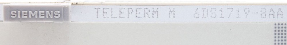 Siemens Teleperm M 6DS1719-8AA E-Stand: 04 Binary Module -used-