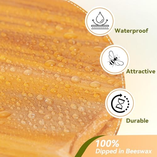 10-Frame Bee Hive Complete Beehive Kit Beeswax Coated Beehive Include Frames