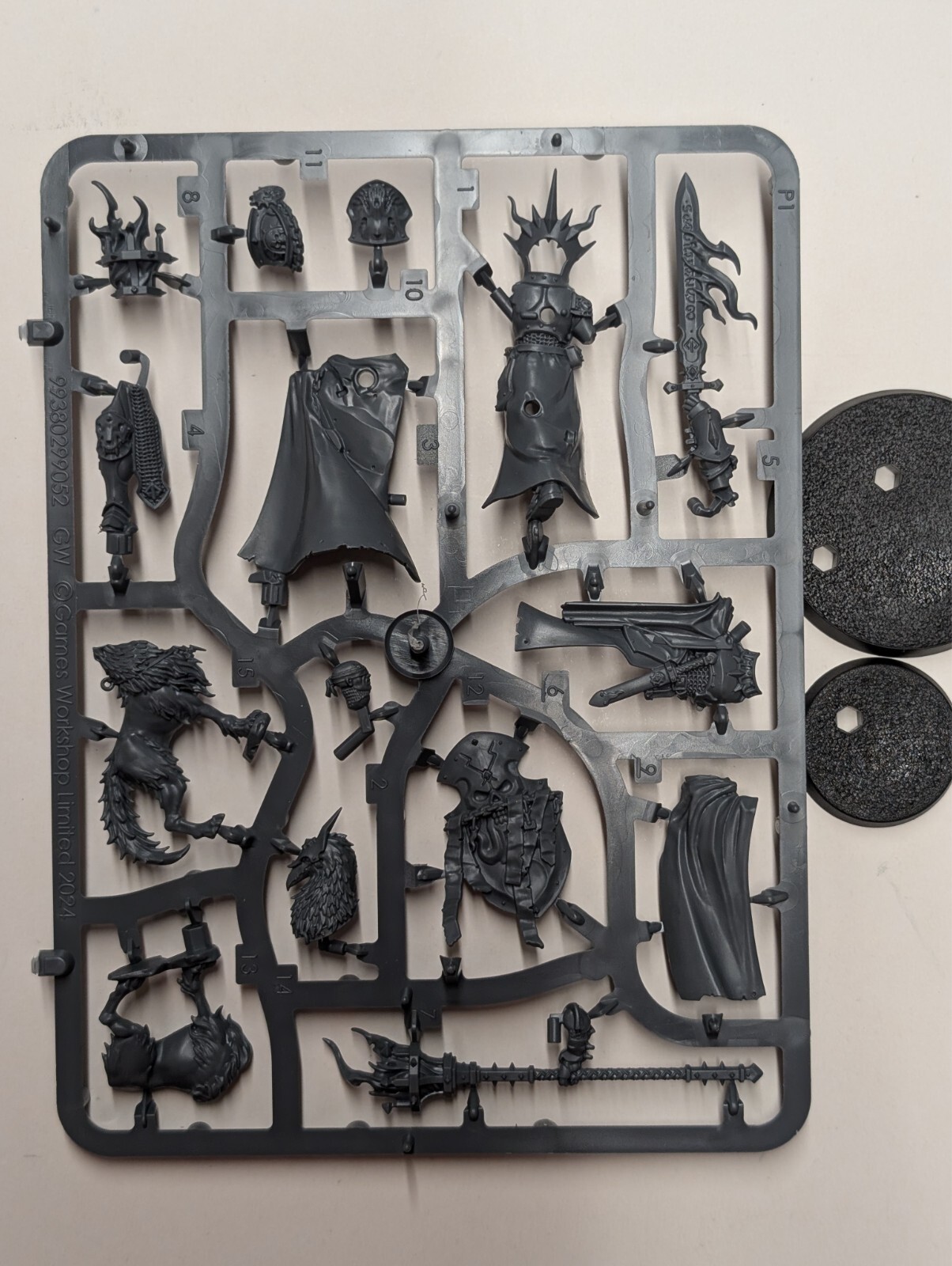 Lord-Veritant with Gryph-crow- Stormcast Eternals Skaventide New Sculpt AOS GW