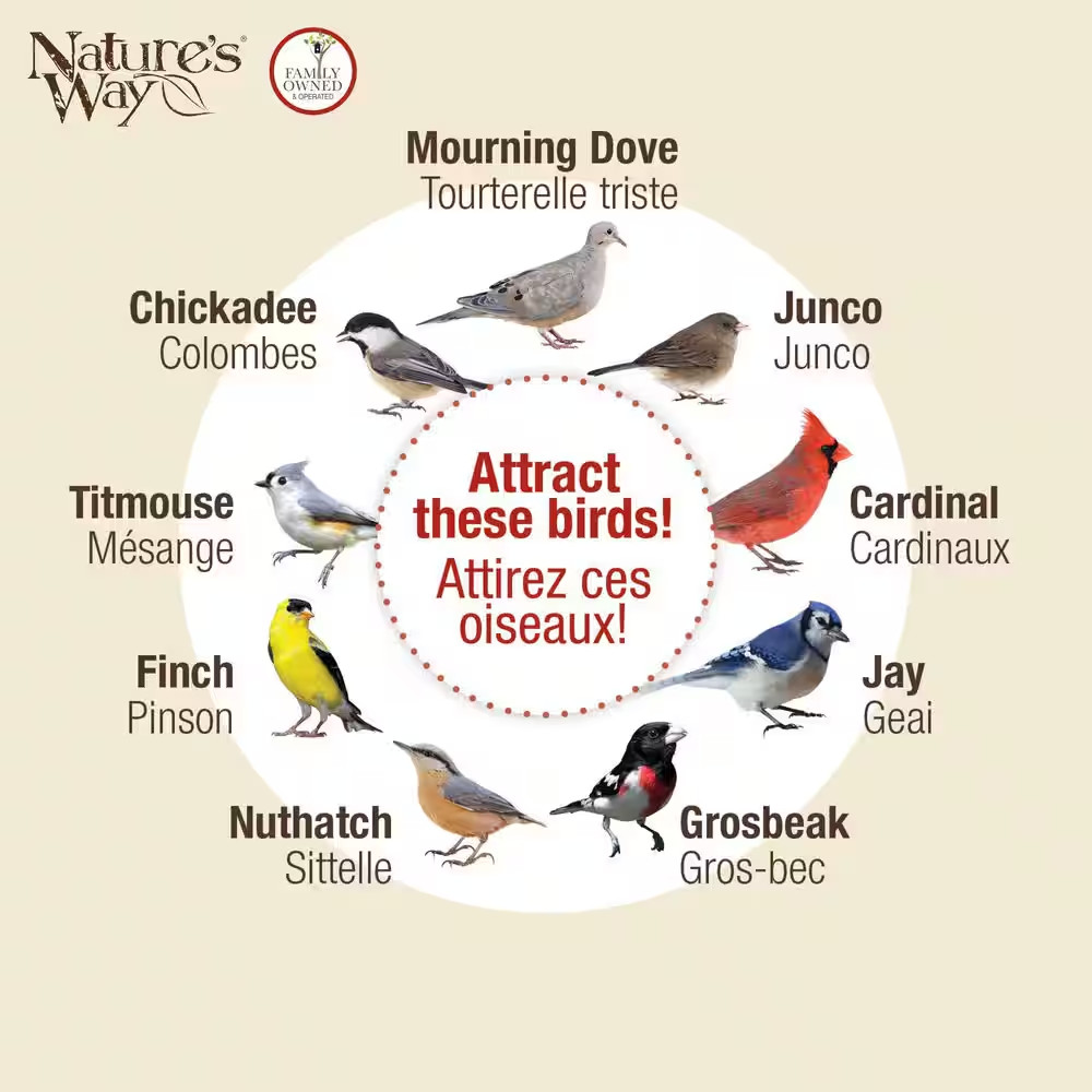 Cedar-Tray Bird Feeder-Single PACK