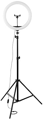 12 Inch LED Ring Light with Adjustable Tripod Stand - Silver