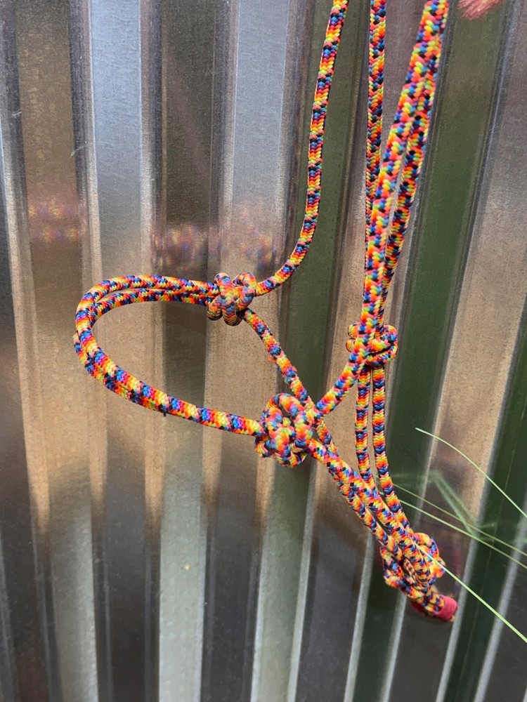 Y Knot Rope Halter ~ Small Horse ~ Rainbow Colored