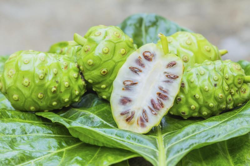 Energy gummies - GRAPE SEED EXTRACT – NONI COMBO - noni power