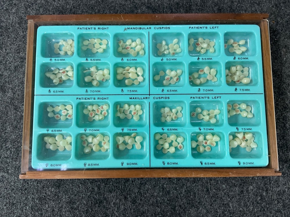 Unitek First Primary Molar Second Primary Molar First Permanent and More