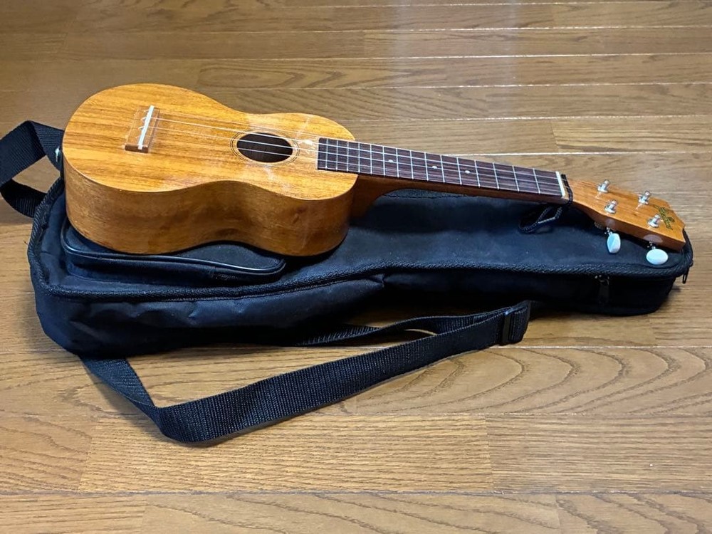 Famous FS-5G (good condition)