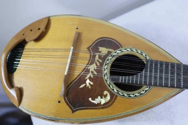 ◆Kunishima Mandolin No.106 ◆With hard case