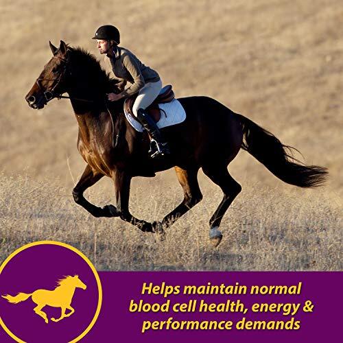 Horse Health Red Cell, Liquid Vitamin-Iron-Mineral Supplement for Horses,