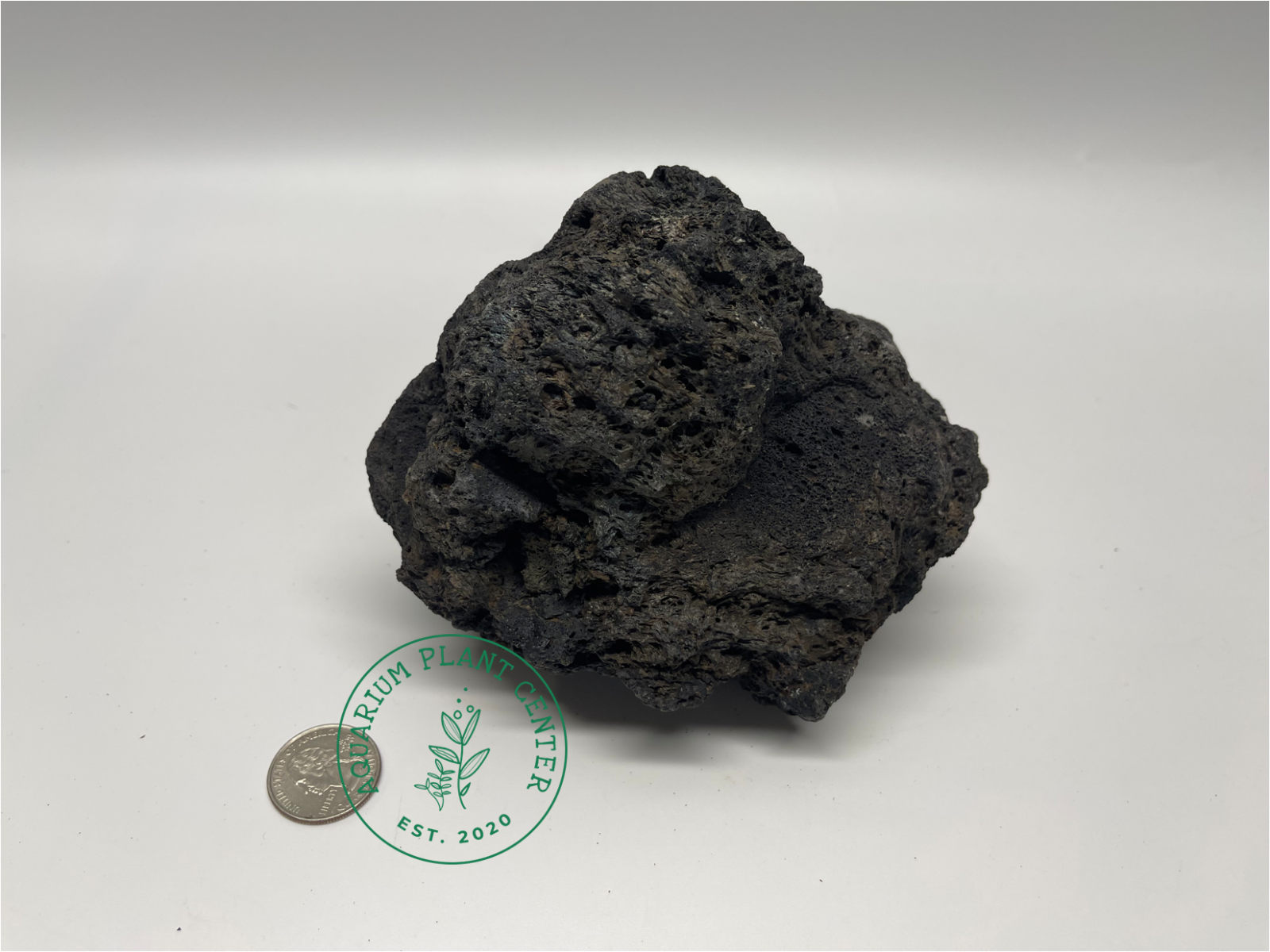 Black Lava Rock (Fuji Stone) / Planted Aquarium / Decoration/Hardscape/Aquarium