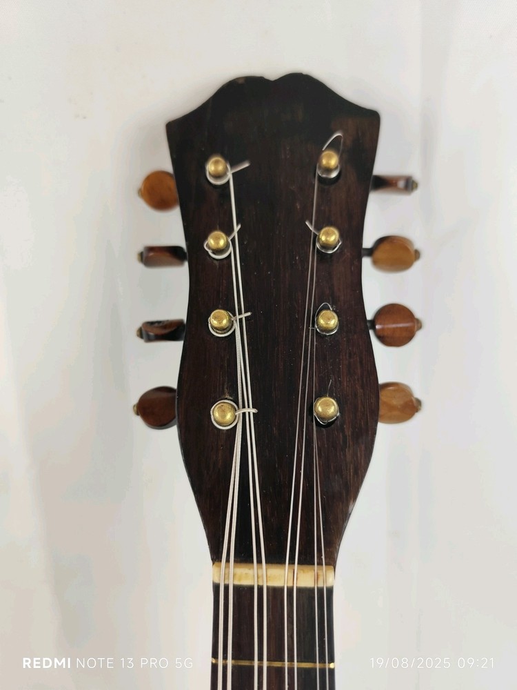 Mandolin 4/4 Alberti 1910 Rome 曼陀林 만돌린マンドリン