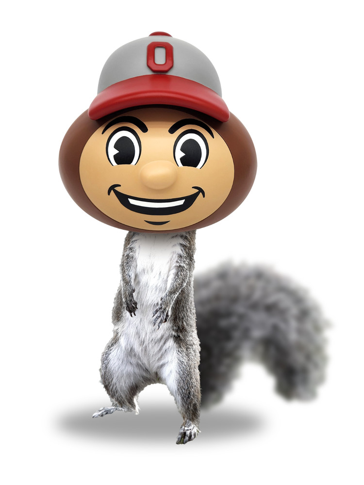 Ohio State Brutus Buckeye Squirrel Feeder
