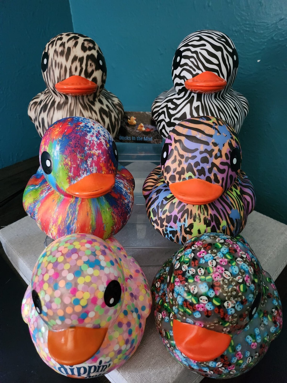 6" Rubber Ducks - Animal Prints, Dippin Dots, Splash Rainbow, & Animal Confetti