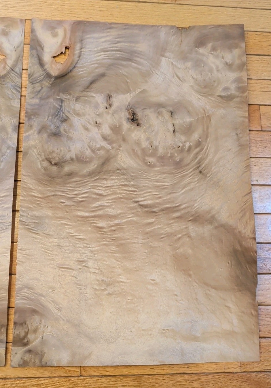 Myrtlewood veneer 26" x 16" guitar Luthier 1/42" wood flame burl holes