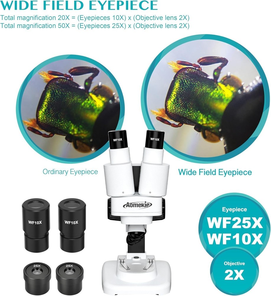 Battery Powered Stereo Microscope with 10 Slides and Insect Specimens Included