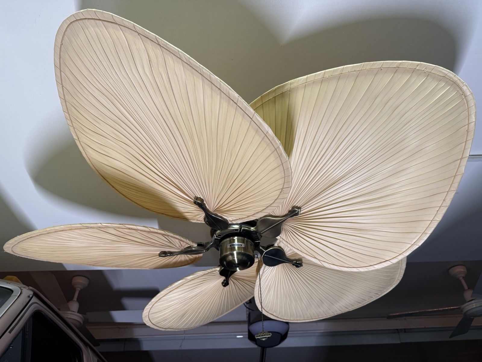 Fanimation Islander Natural Palm Blade 52” Ceiling Fan