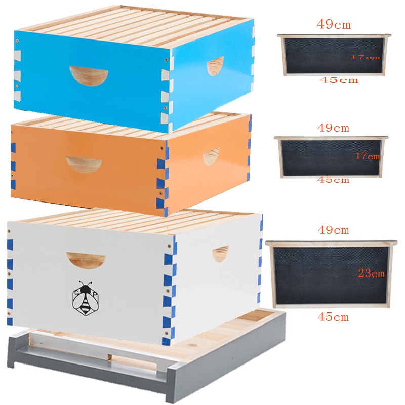 10 Frame Langstroth Bee Hive Coated Bee Painting Includes 30X Beehive Frames