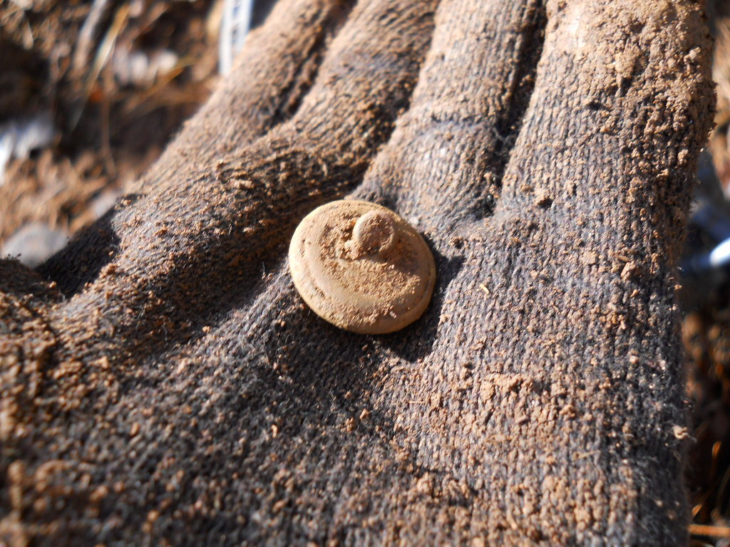 Old Rare Vintage Antique Civil War Relic Eagle Button Recovered Appomattox, VA
