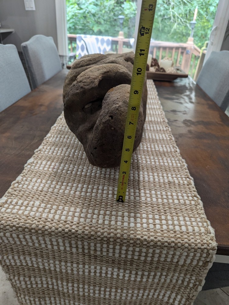 Fossilized Alien Head ???? 👽🛸