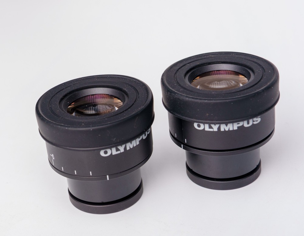 Pair Olympus 10X 20 Microscope Eyepieces 30mm