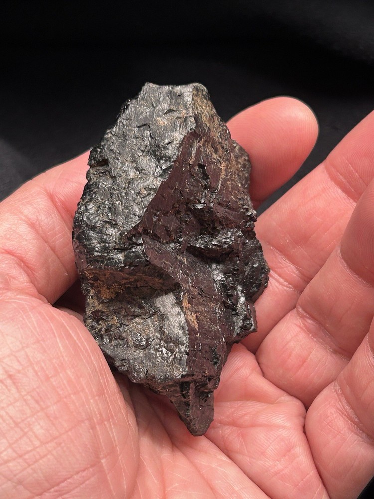 Lower Eagle Ford Cretaceous Coal Zone- Carbonized Dinosaur Age Material, Texas
