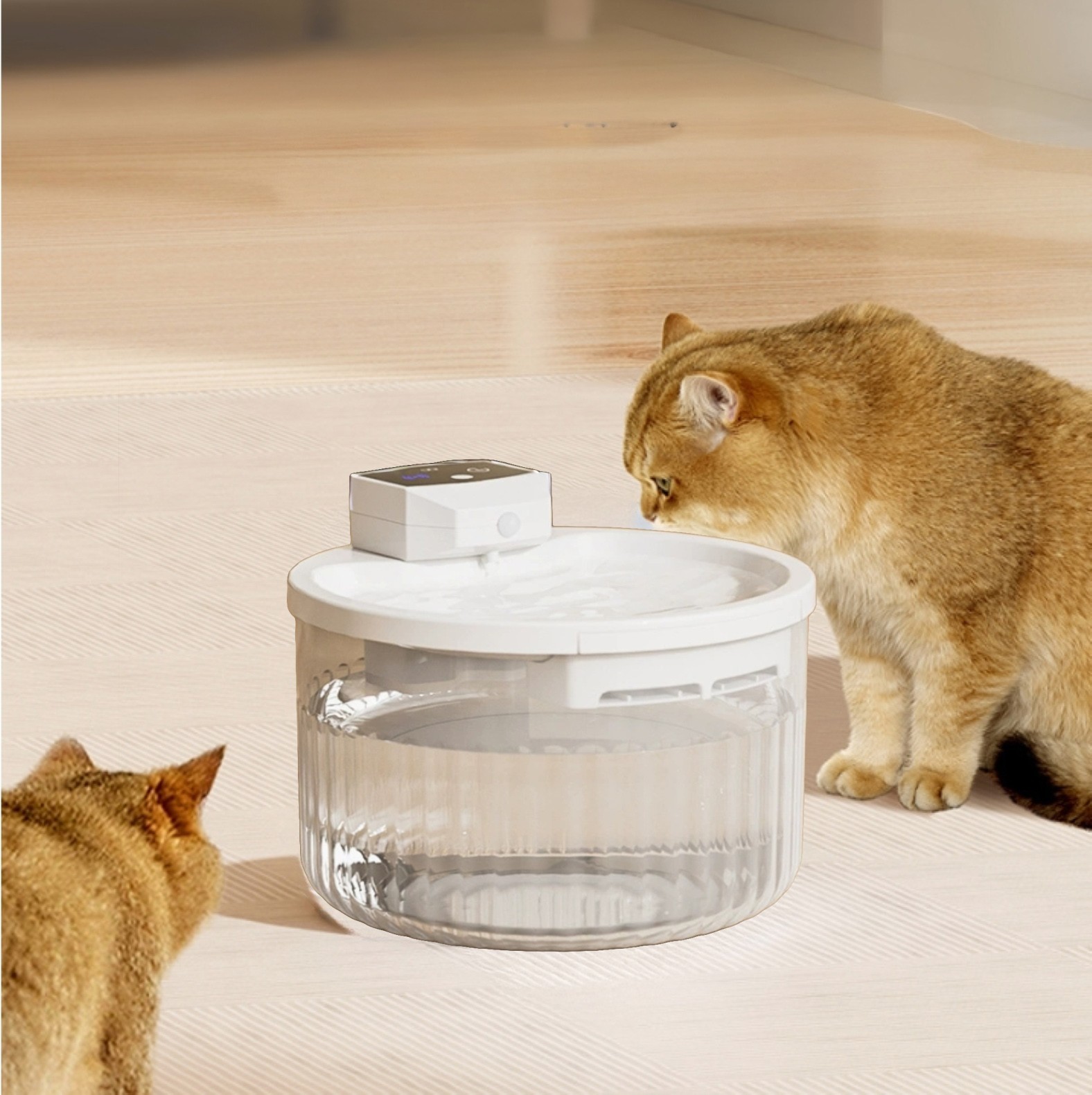 Wireless Cat Water Fountain Cordless Battery Operated Motion Senor Fountain 3.1L