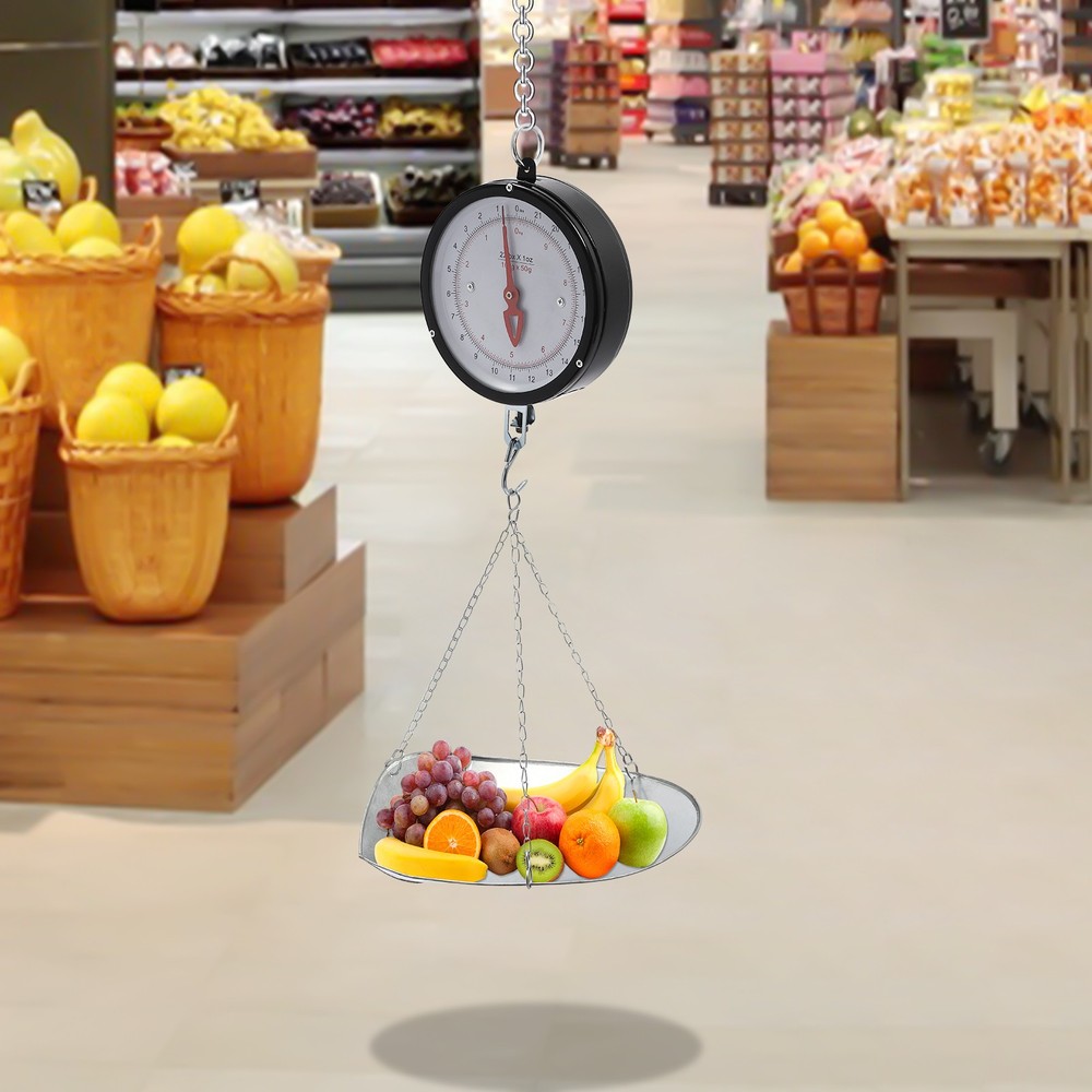 Double-Sided Dial Hanging Scale 22lbs with Galvanized Tray for Easy Weighing