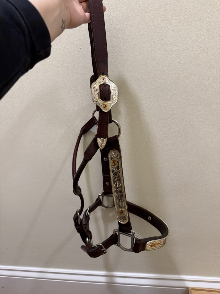 Leather Showmanship Halter and Lead