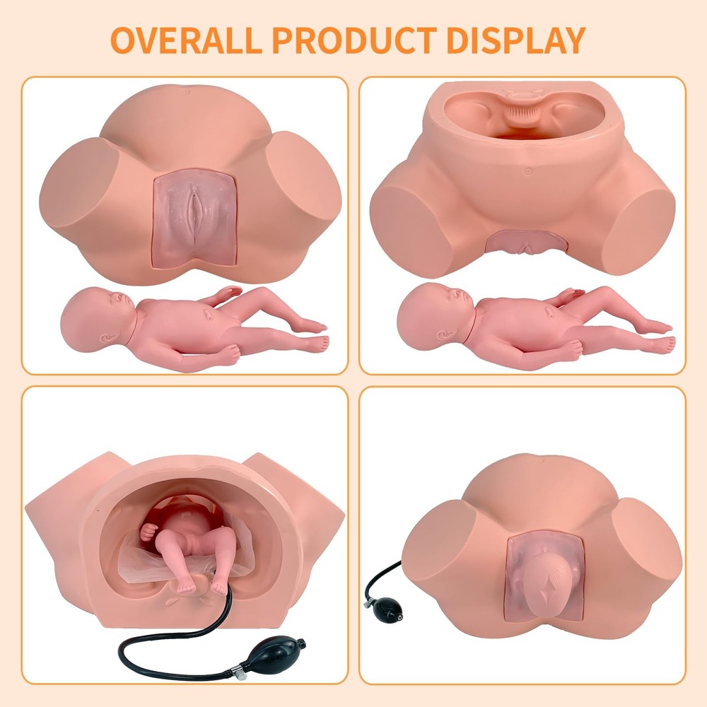 Birth Midwifery Training Model Simulator, Life Size Childbirth Demonstration ...