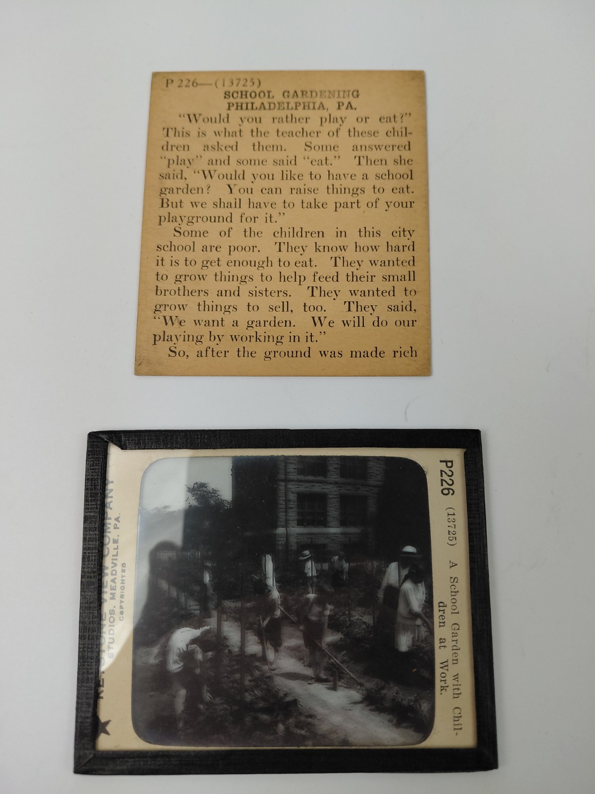 Magic Lantern Glass Slide Photo Keystone P226 School Garden w Children At Work