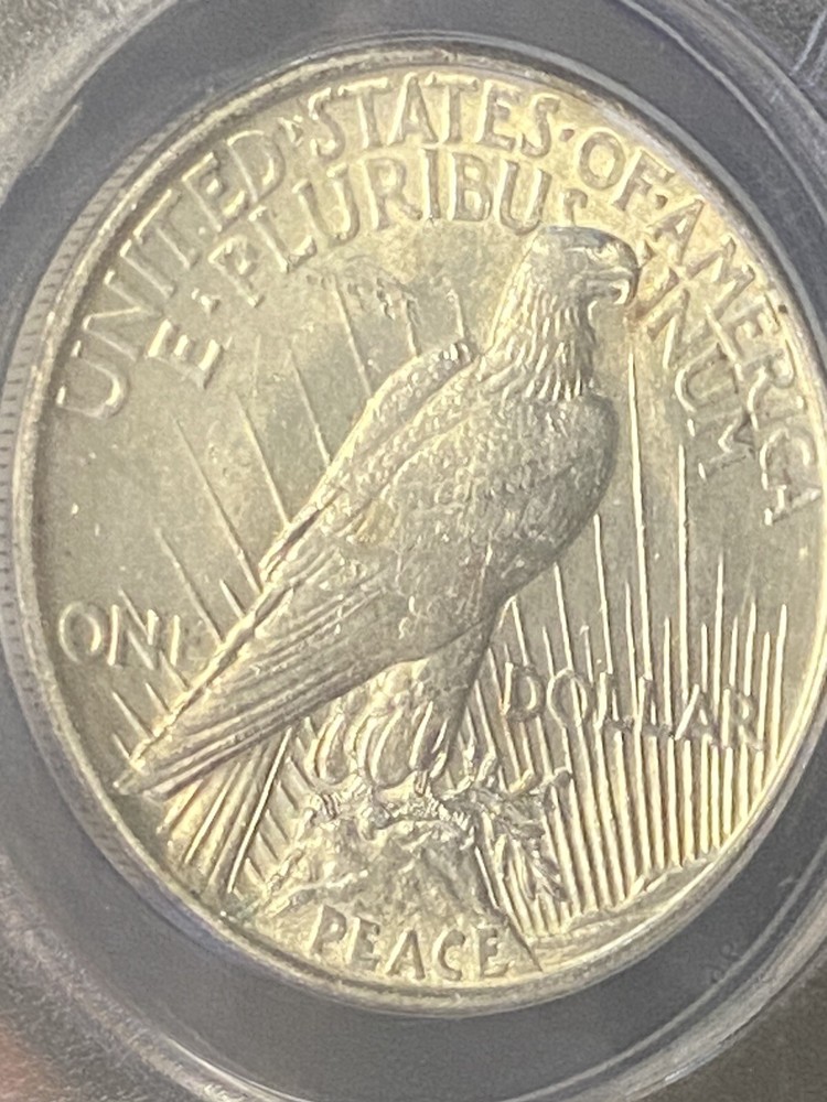 1921 Silver Peace $1 Dollar ~ ANACS Graded MS 60