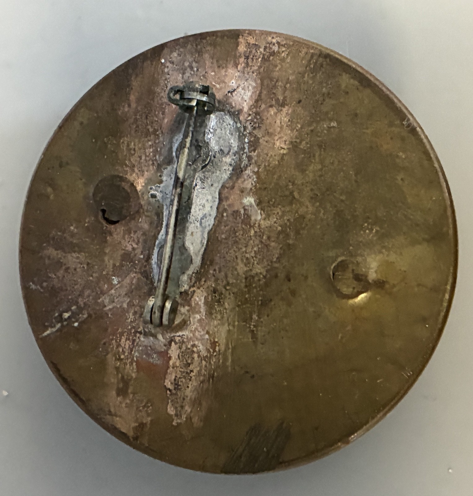 Two Antique Bridle Rosettes