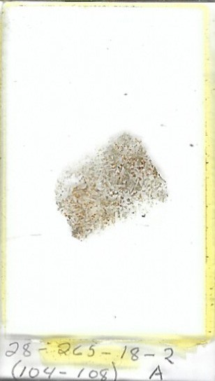 Thin-section Mount from DSDP Hole 265 Petrographic Microscope Slide 28-265-18-2