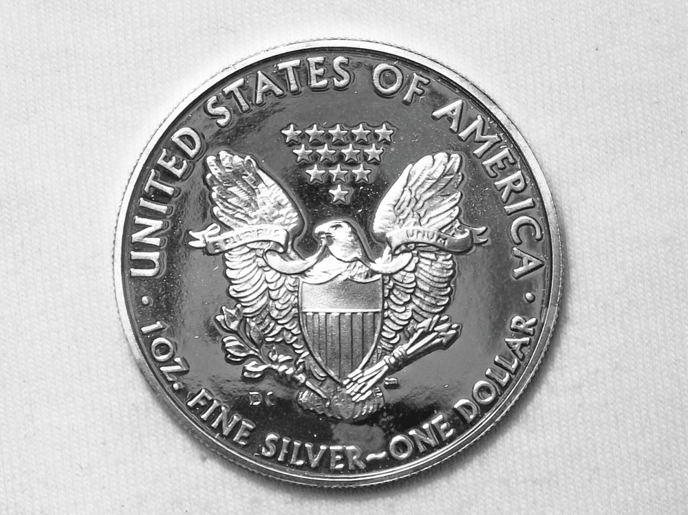 Daniel Carr - 2009 DC "Proofed" Silver Eagle, Thin mintmark type