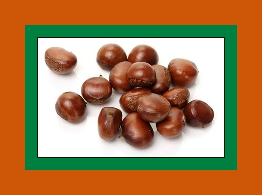 Fresh Chestnuts-Just arrived fresh-2Lbs