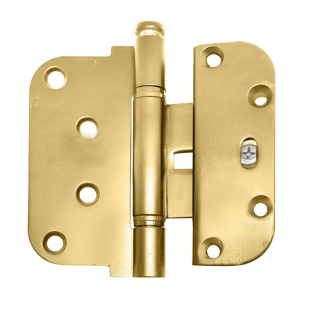 Brixwell 2D Adjustable Guide Hinge Removable Pin, 2" Width, Steel,Polished Brass