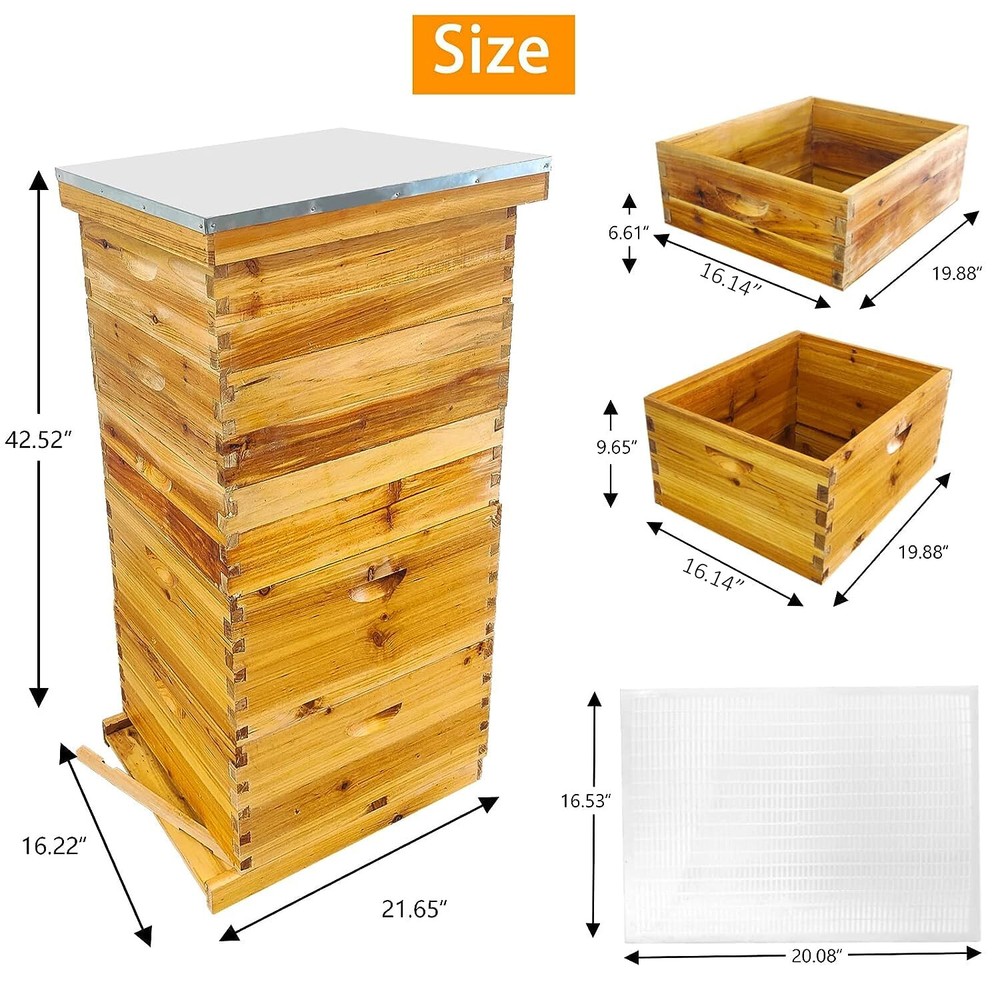 5-Layer Langstroth Bee Hive Beginner-Friendly Beehive Starter Kit