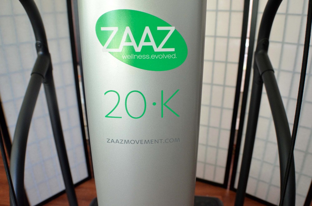ZAAZ 20K Exercise Whole Body Vibration Machine