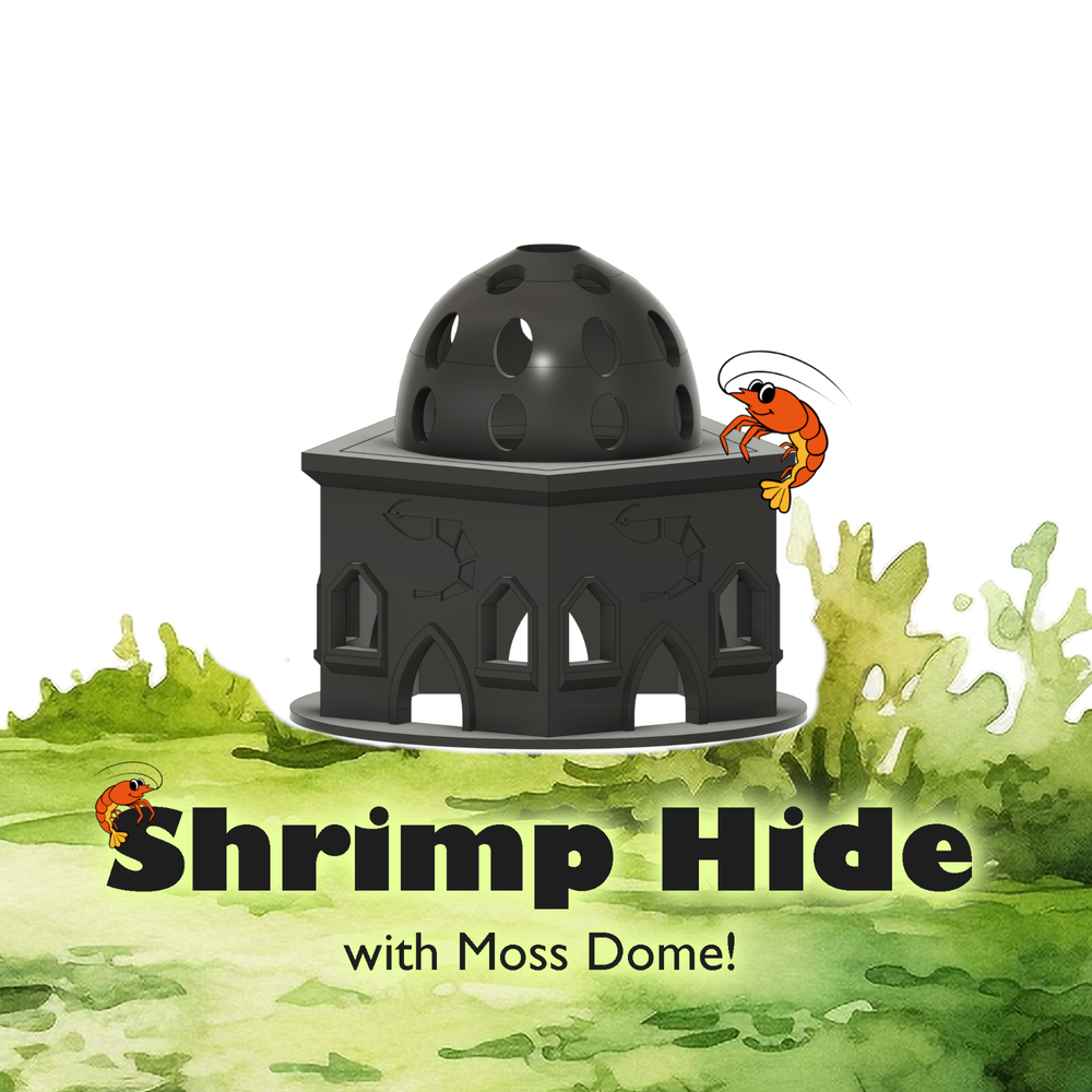 Shrimp Hide for shrimp tanks
