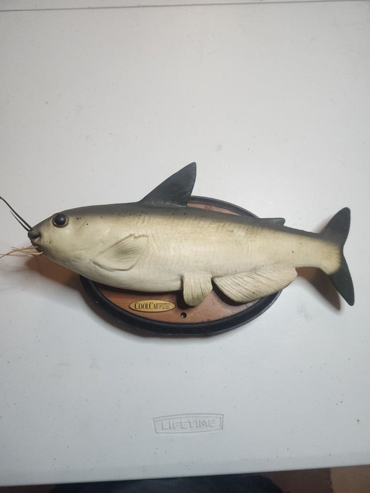 CoolCatfish Automated Wall Hanger Catfish Working