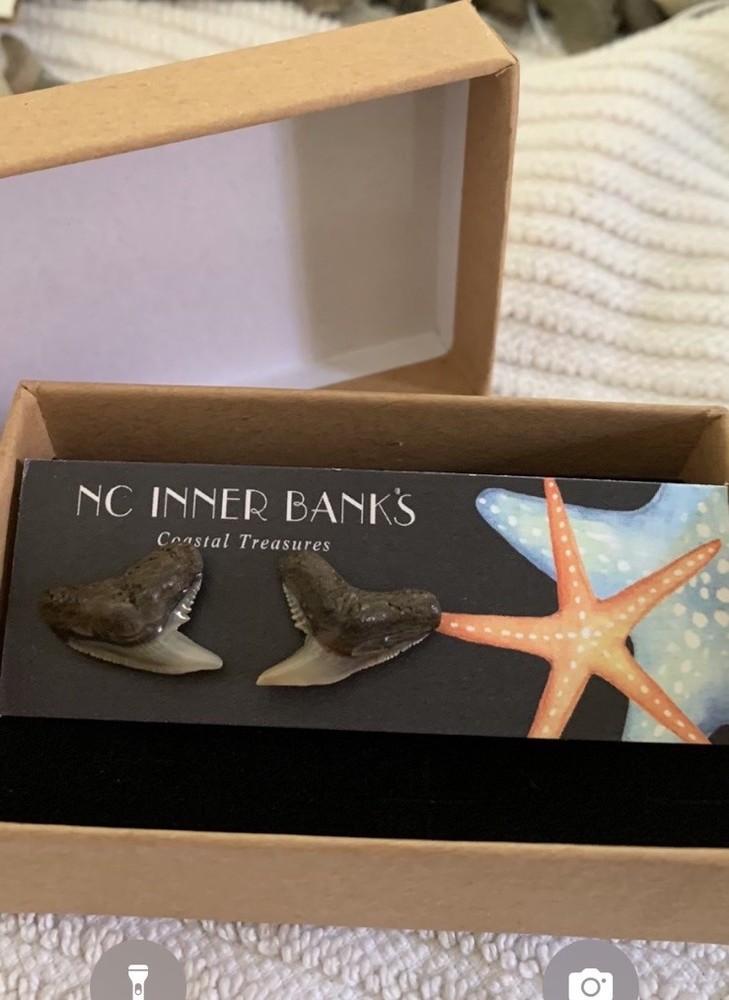 Authentic Pamlico River NC Shark Teeth Earring Stud