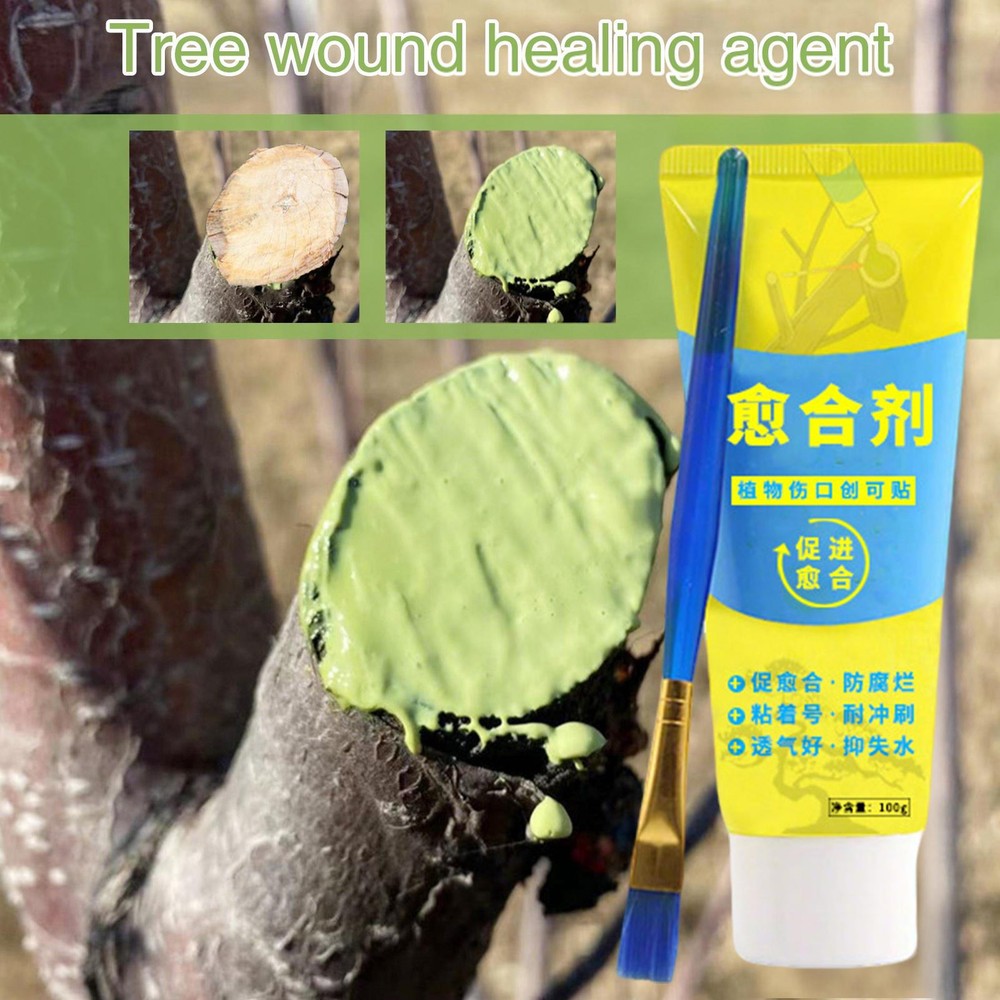 100g Tree Wound Bonsai Cut Paste Smear Agent Pruning Compound Sealer With Brush