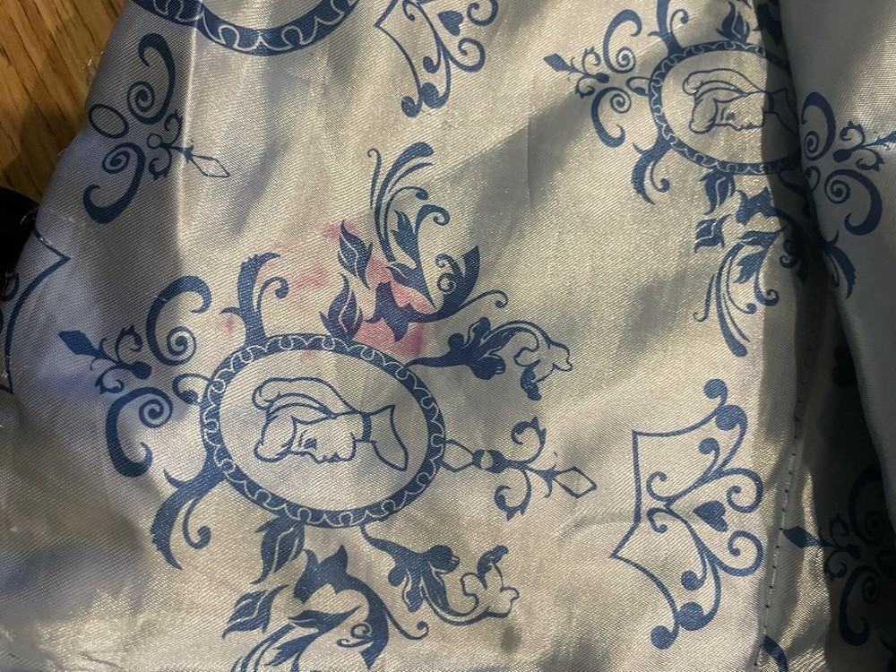 disney Princess sleeping bag with bag