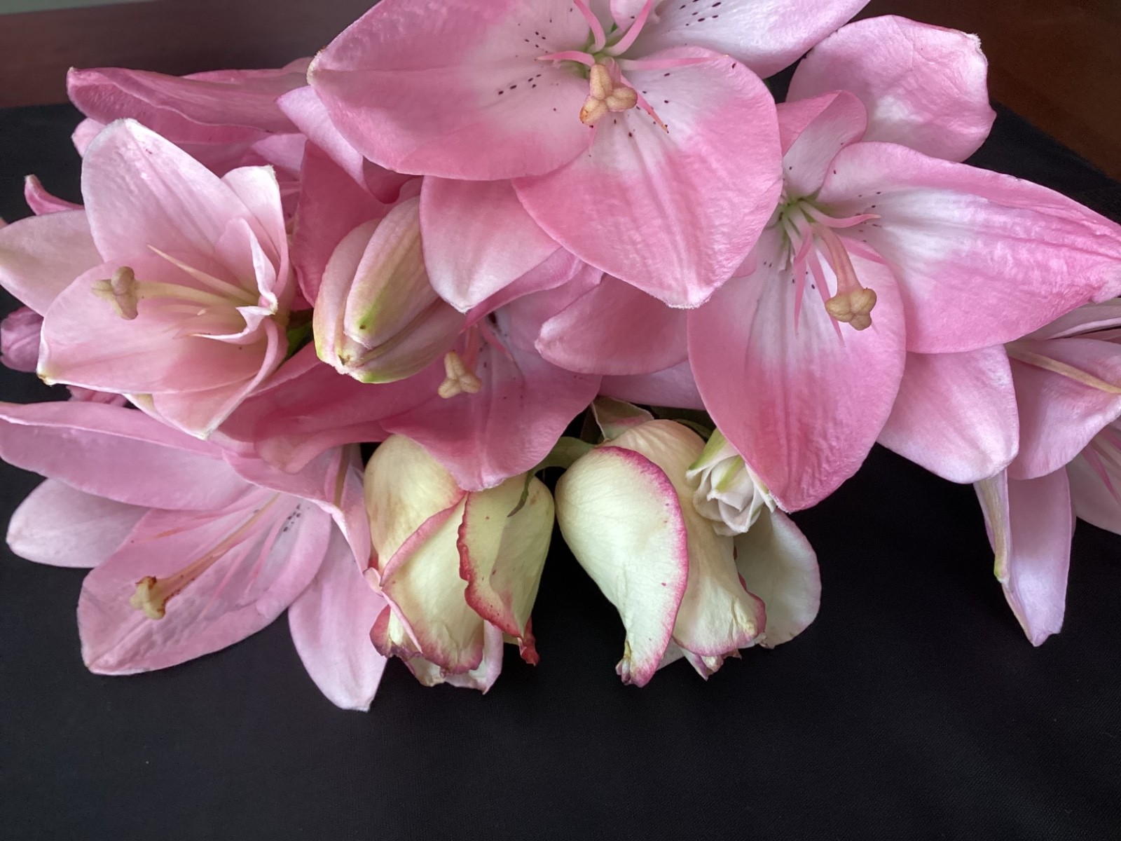 Color Street Manicure Nail Polish Strips - HTF’s, Retired, Unicorns ***M-O***