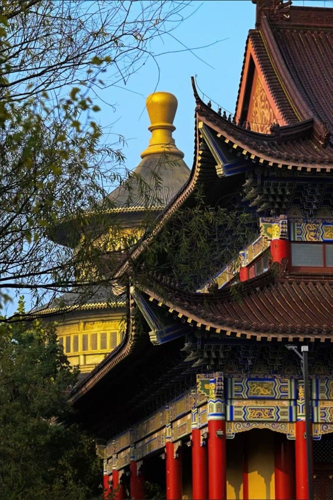 35mm f1.6 APS-C MC MFT M43 Lens for Olympus E-PL5 E-PL6 E-PL7 E-PL8 E-M1 E-M5