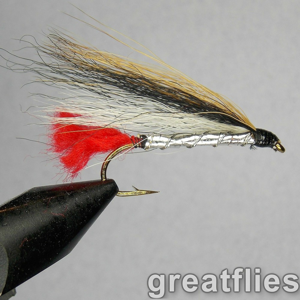 1 dozen (12) - Black Nose Dace